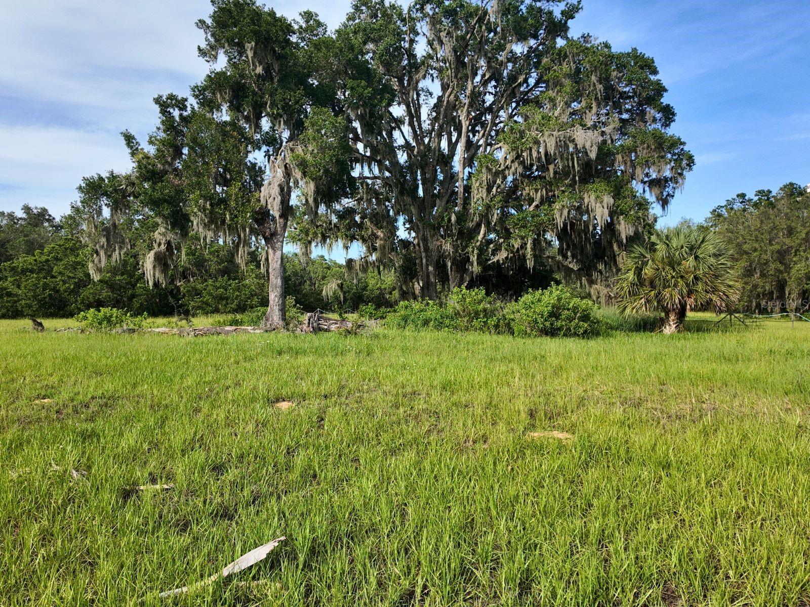Image 22 of 38 For 0 Lot 2 Catbrier Lane
