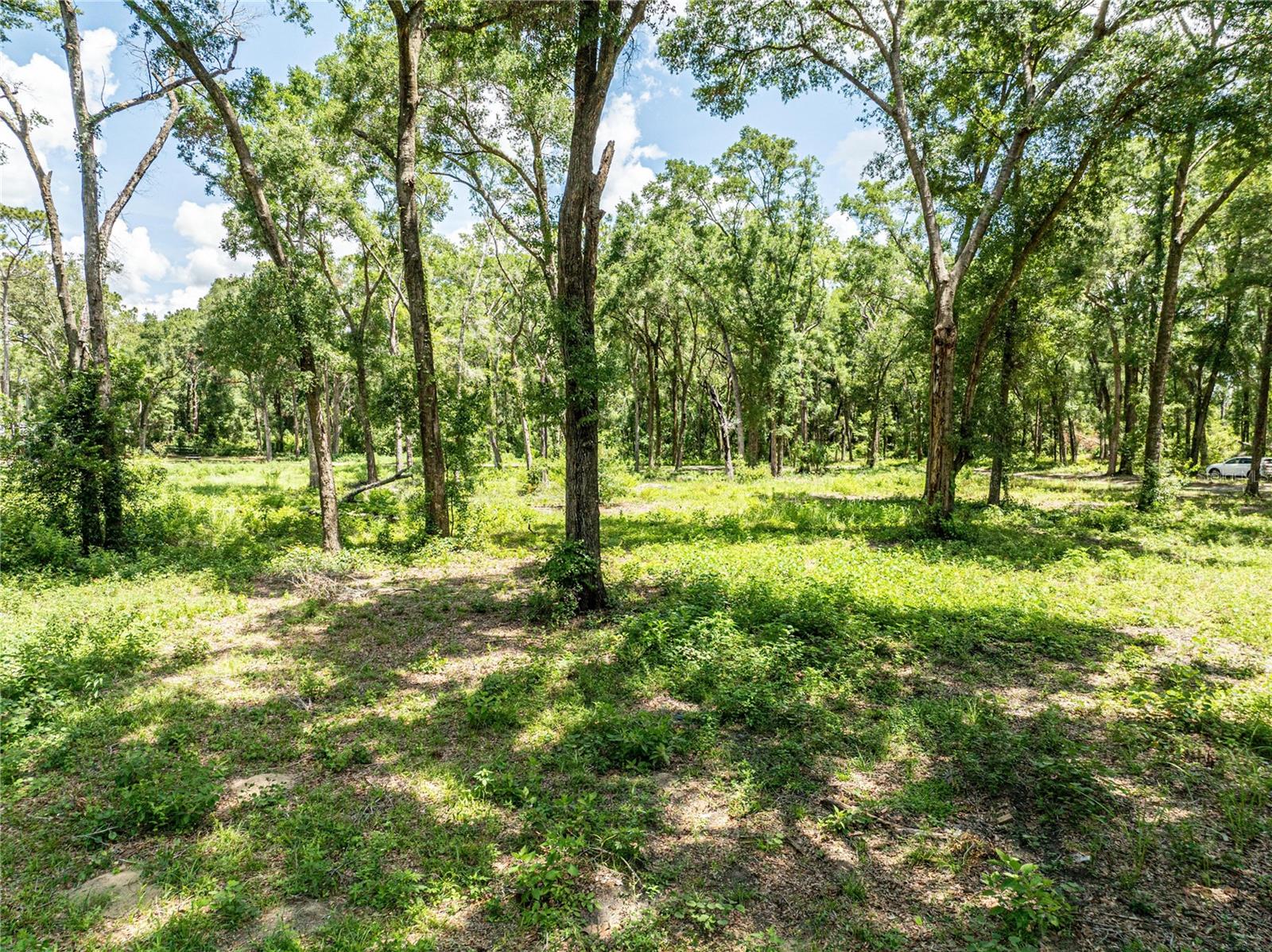 Listing photo id 30 for 11341 11th Way