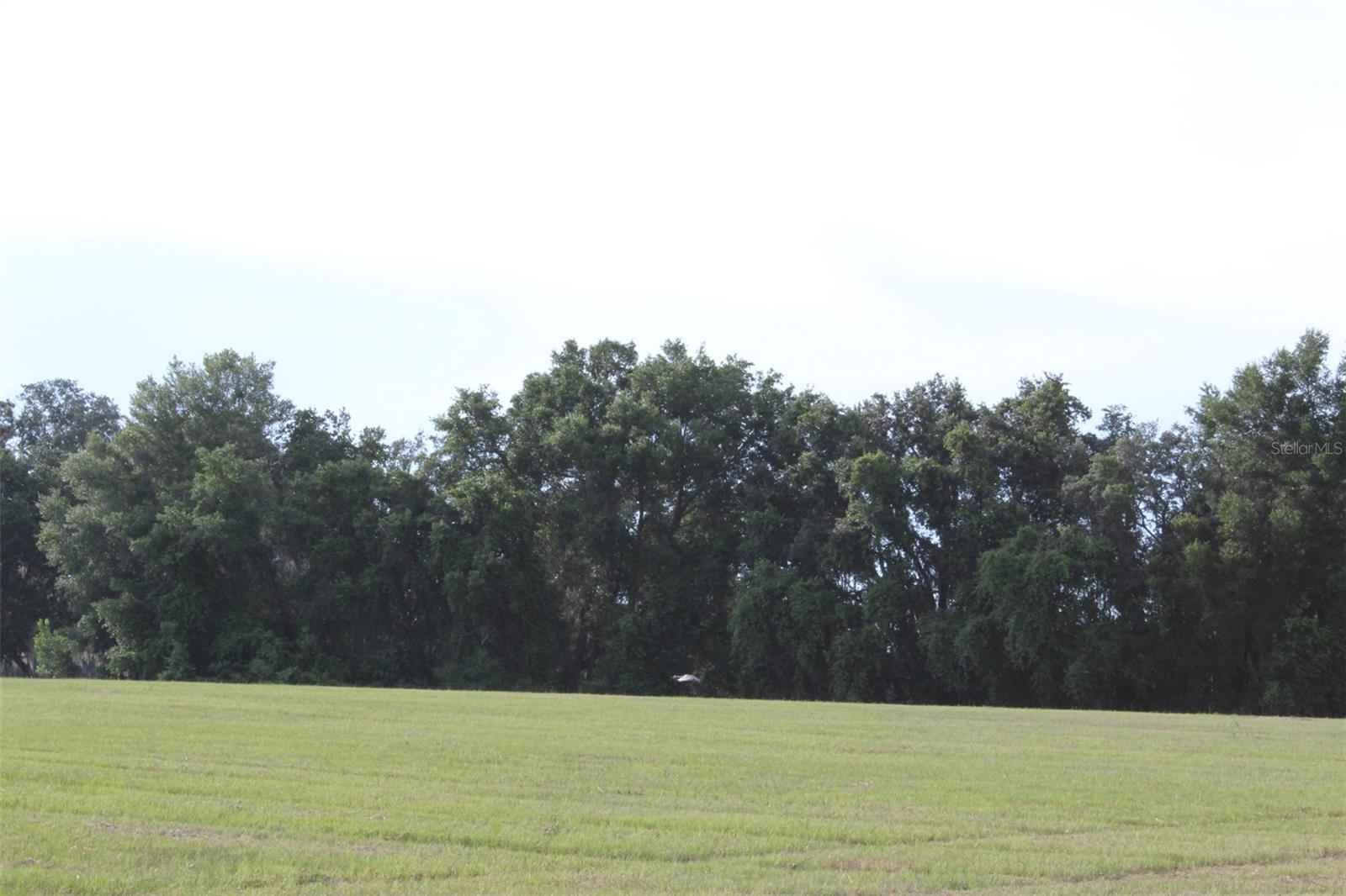 Image 13 of 26 For Cross Country Boulevard