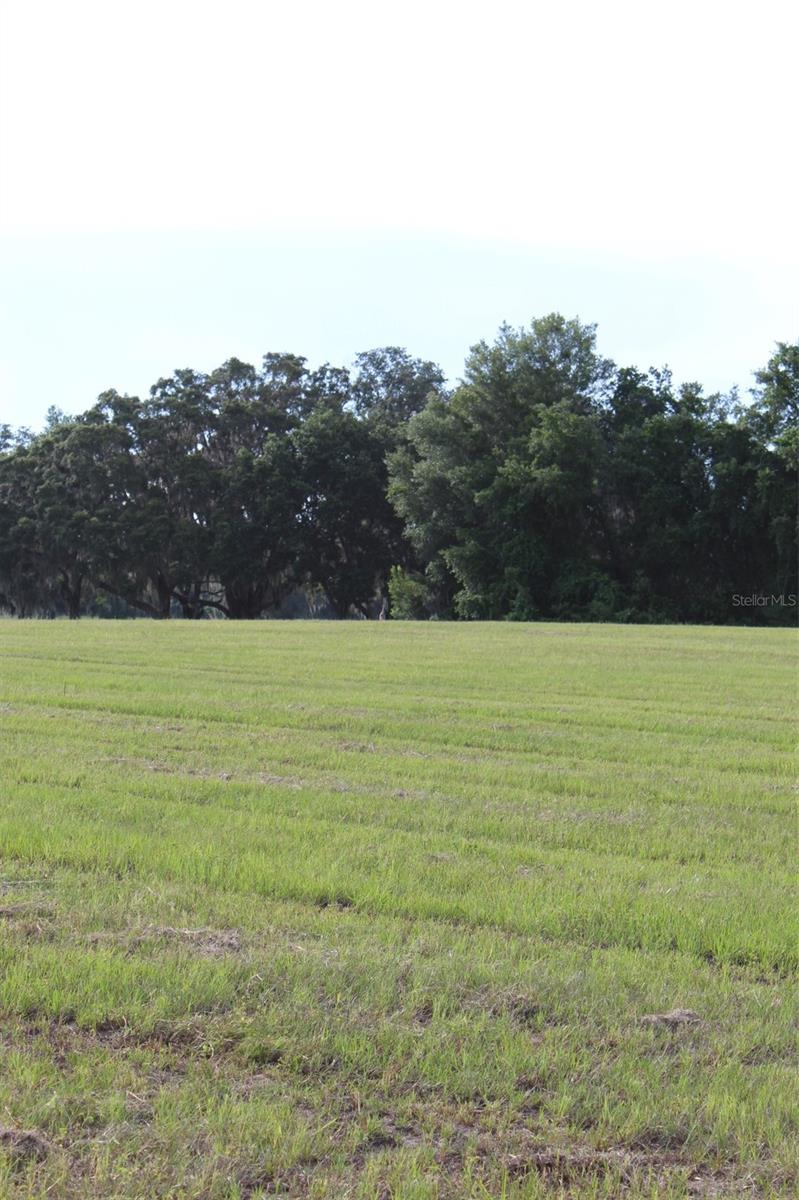 Image 14 of 26 For Cross Country Boulevard