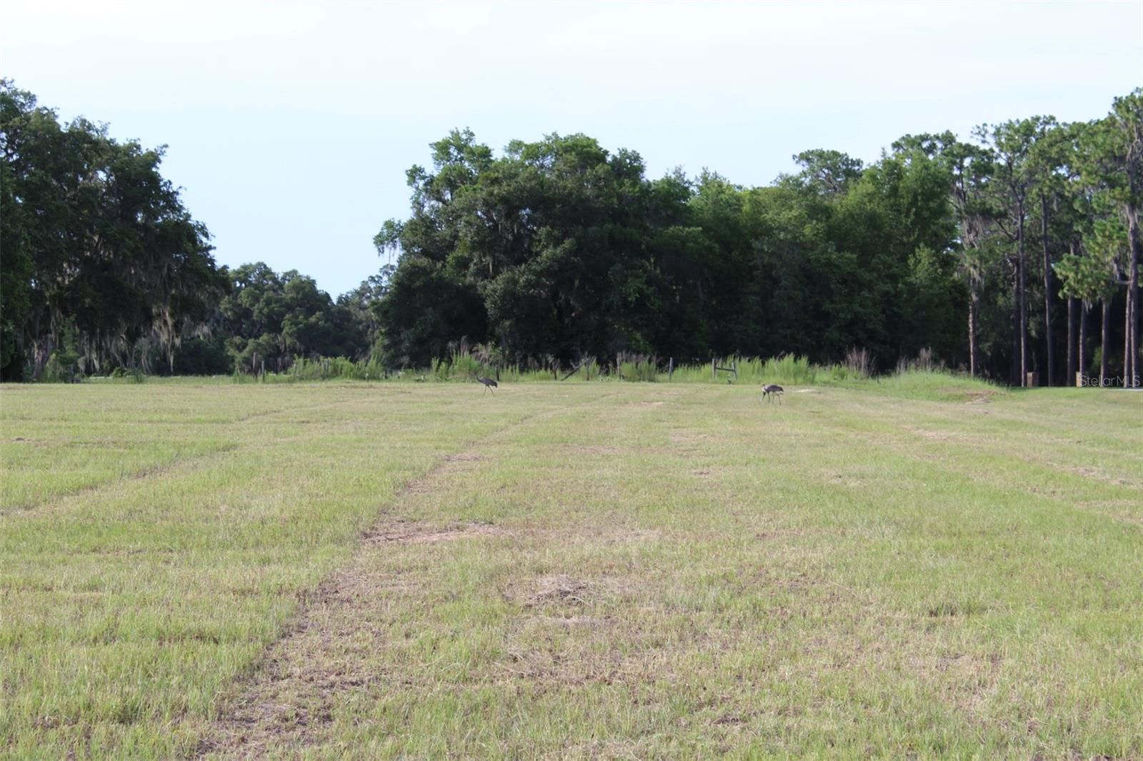 Image 15 of 26 For Cross Country Boulevard