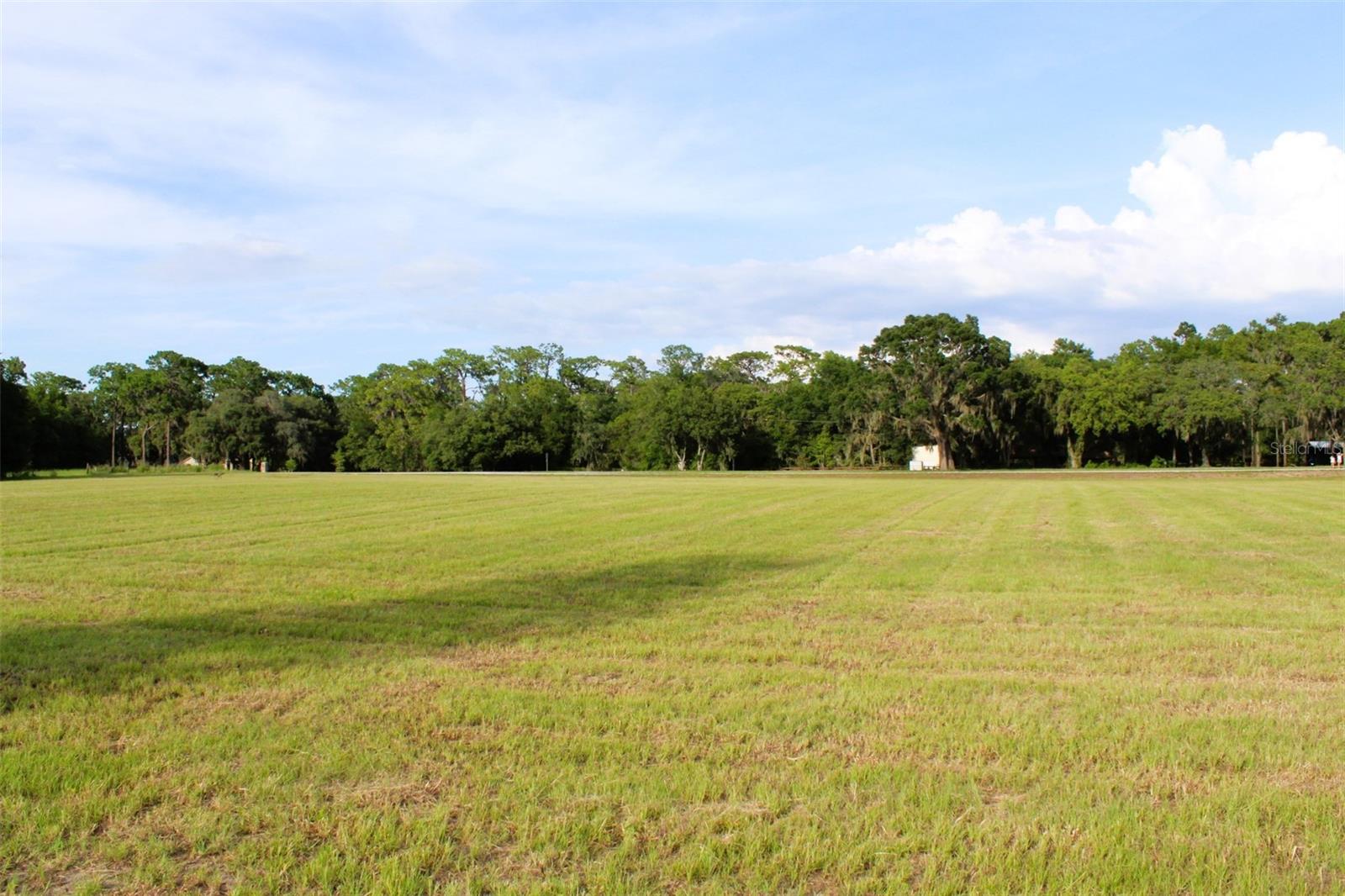 Image 19 of 26 For Cross Country Boulevard