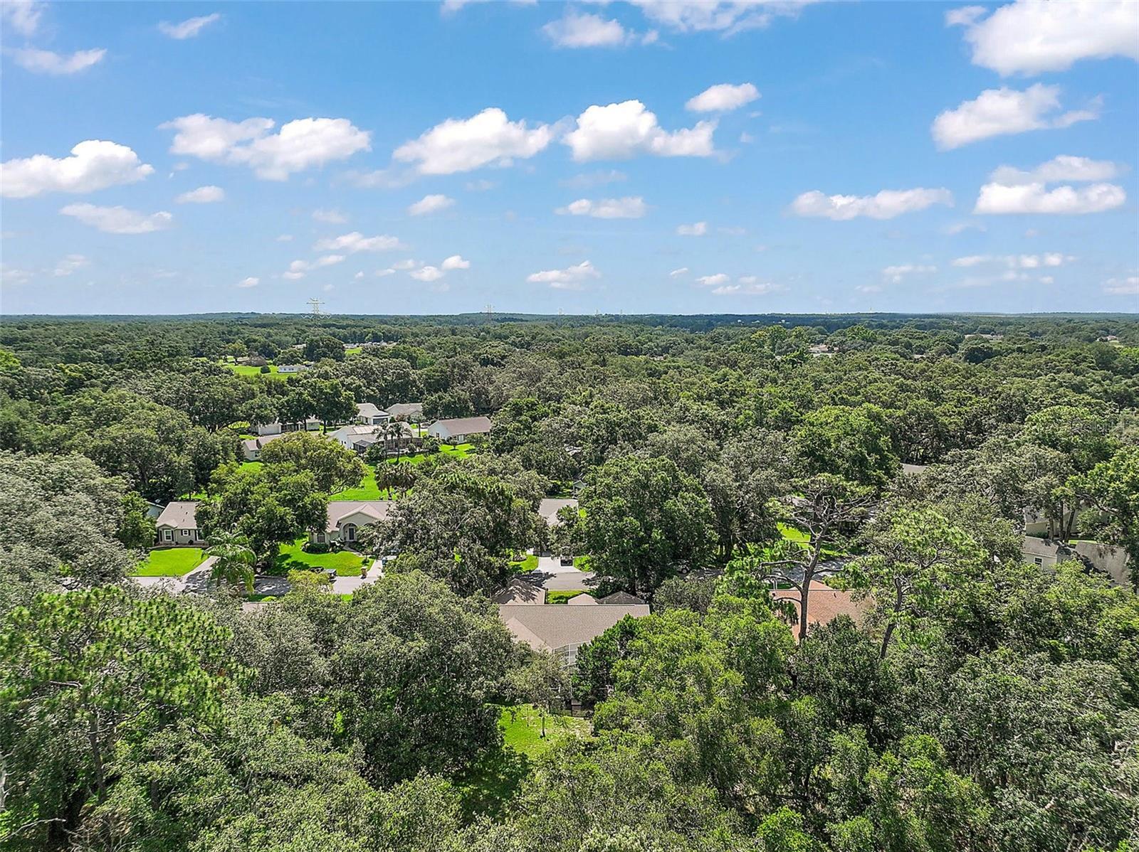 Image 34 of 35 For 4300 Leafway Circle