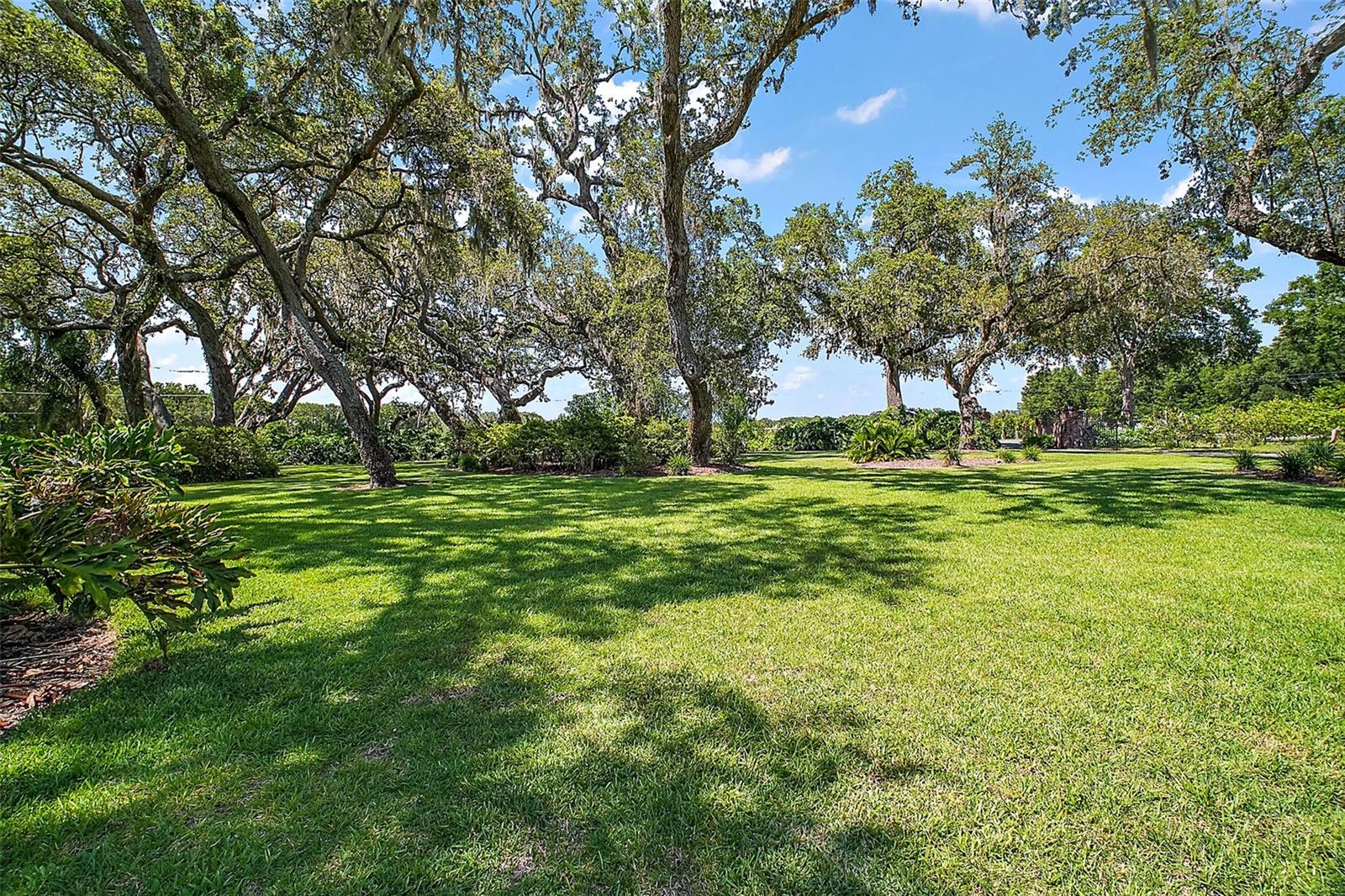 Image 67 of 77 For 16318, 16250 & 16300 County Road 448