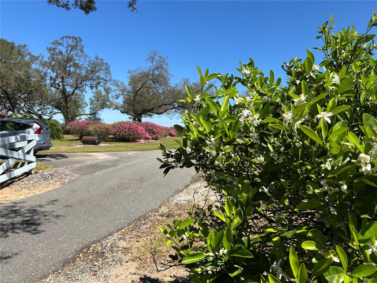 Image 75 of 77 For 16318, 16250 & 16300 County Road 448