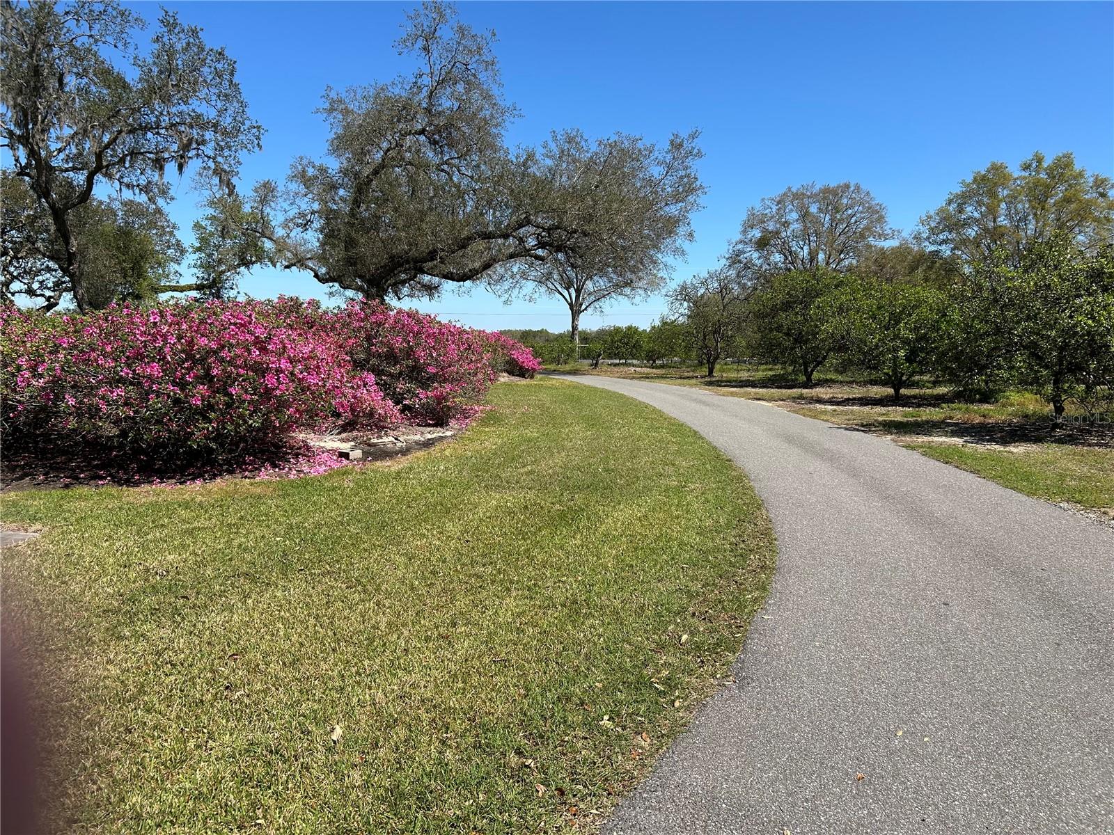 Image 76 of 77 For 16318, 16250 & 16300 County Road 448