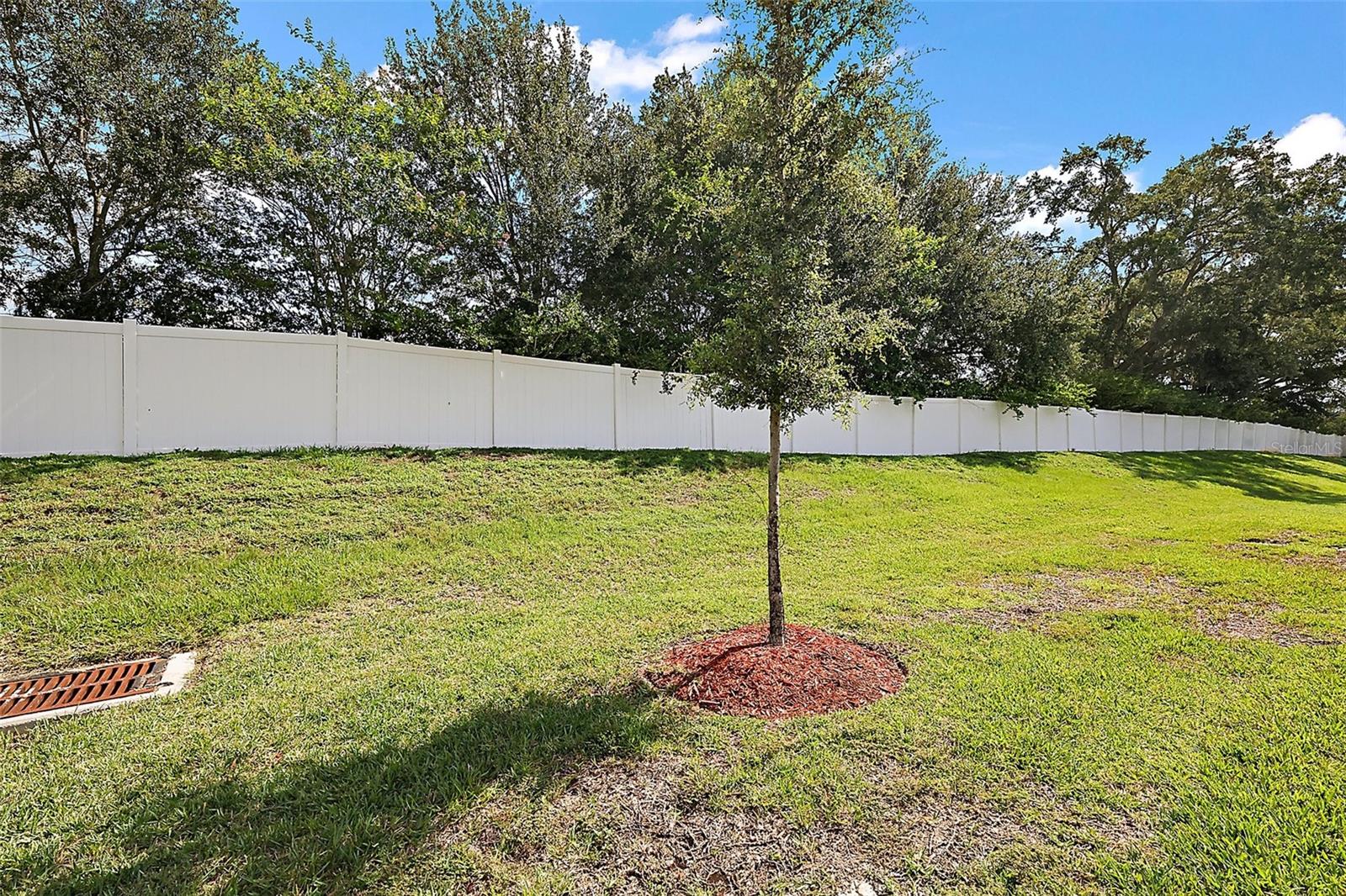 Image 30 of 53 For 10363 Addison Shore Way