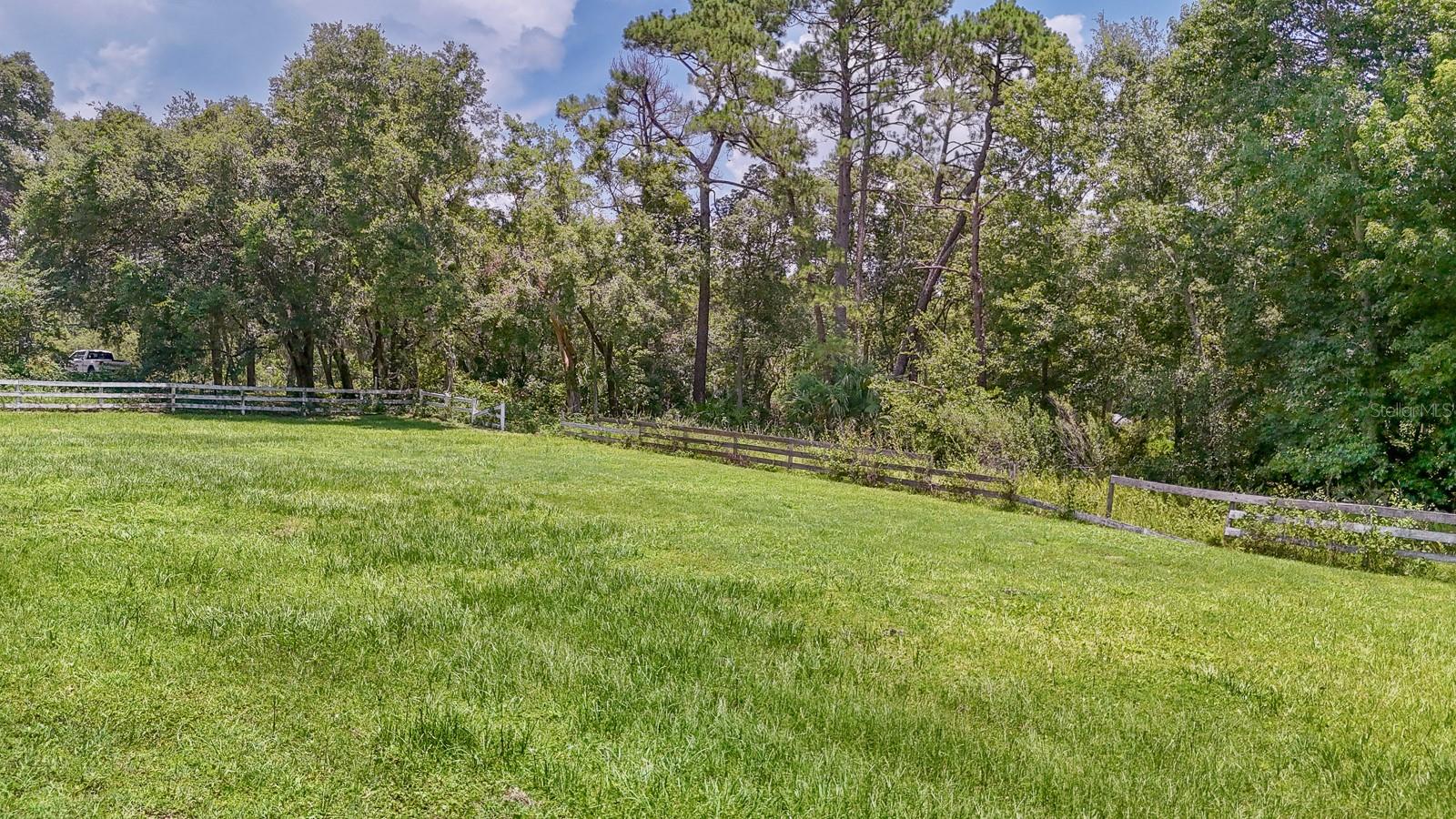 Image 45 of 55 For 32025 Timberlake Drive