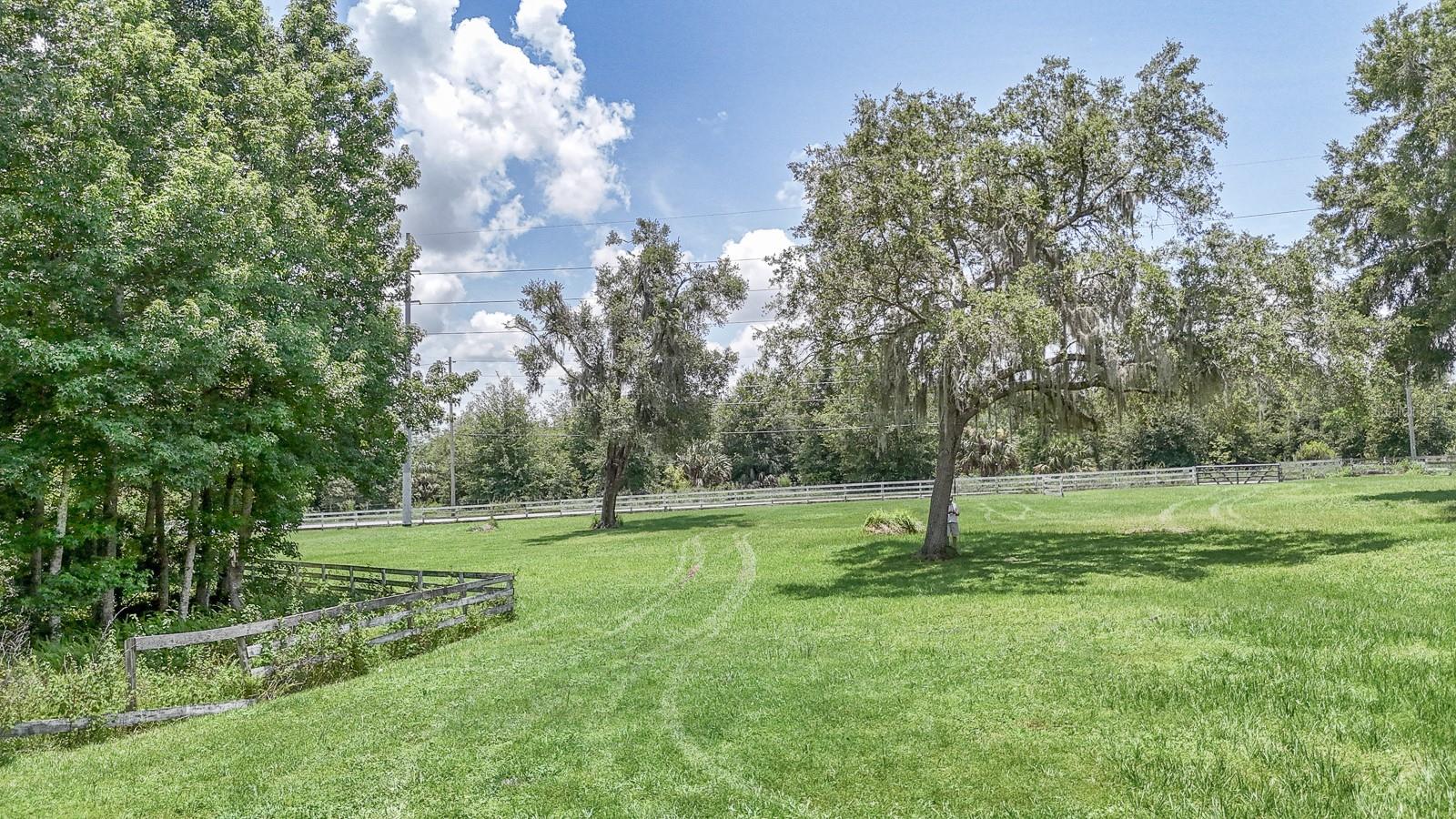 Image 46 of 55 For 32025 Timberlake Drive