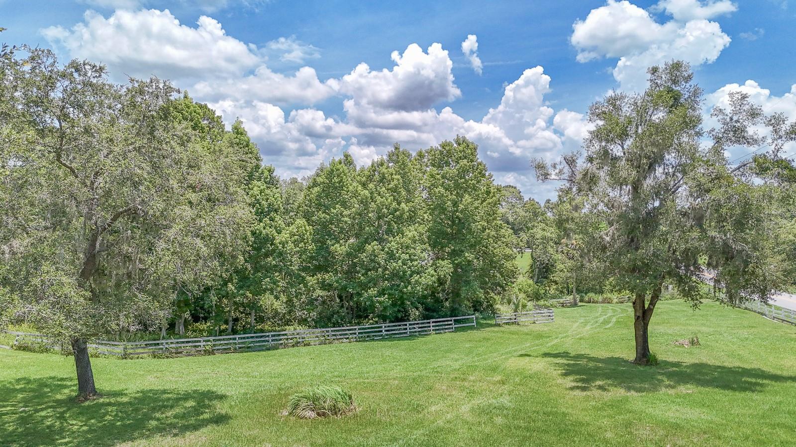 Image 49 of 55 For 32025 Timberlake Drive