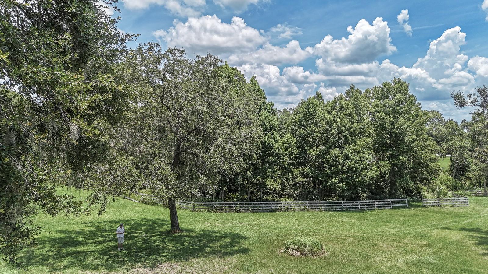 Image 50 of 55 For 32025 Timberlake Drive