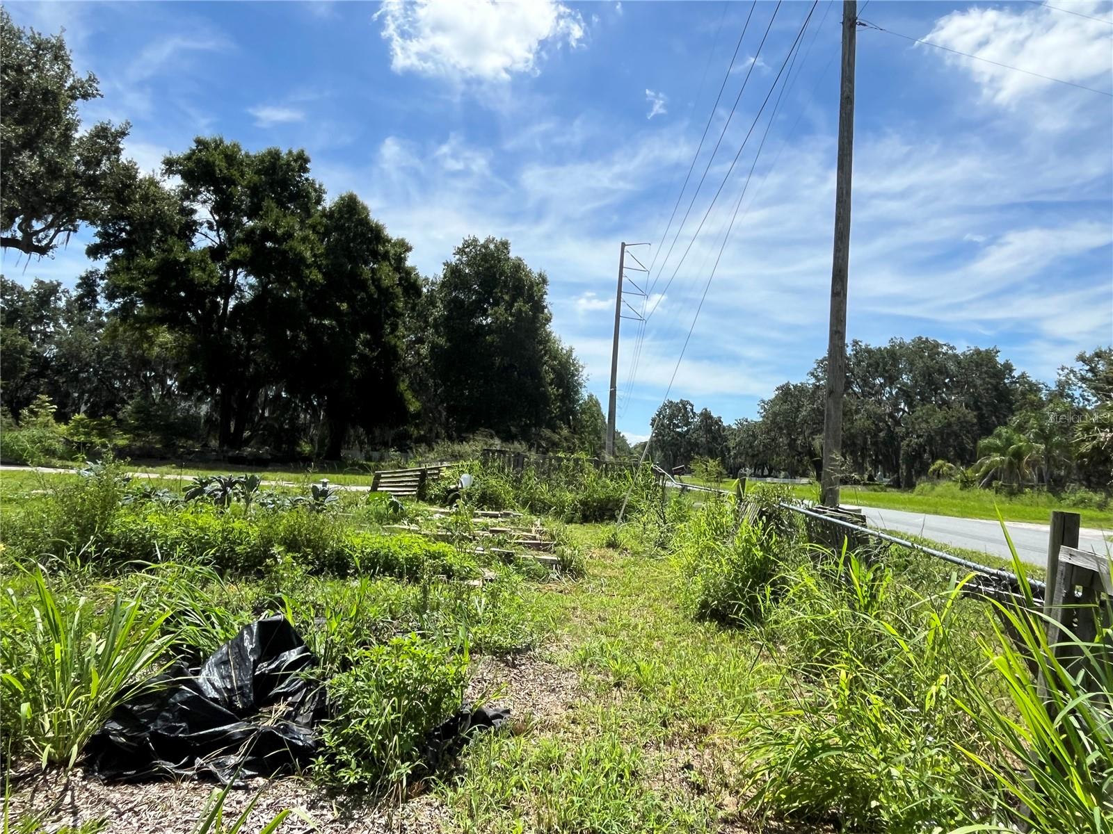 Image 10 of 43 For 411 Alibrandi Road