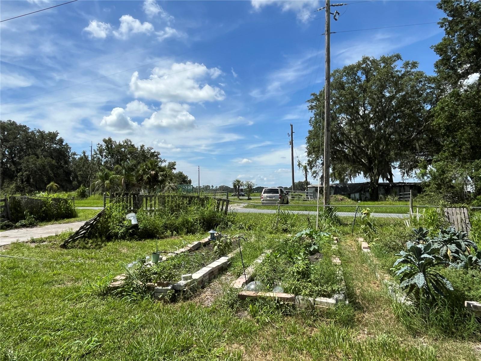 Image 11 of 43 For 411 Alibrandi Road