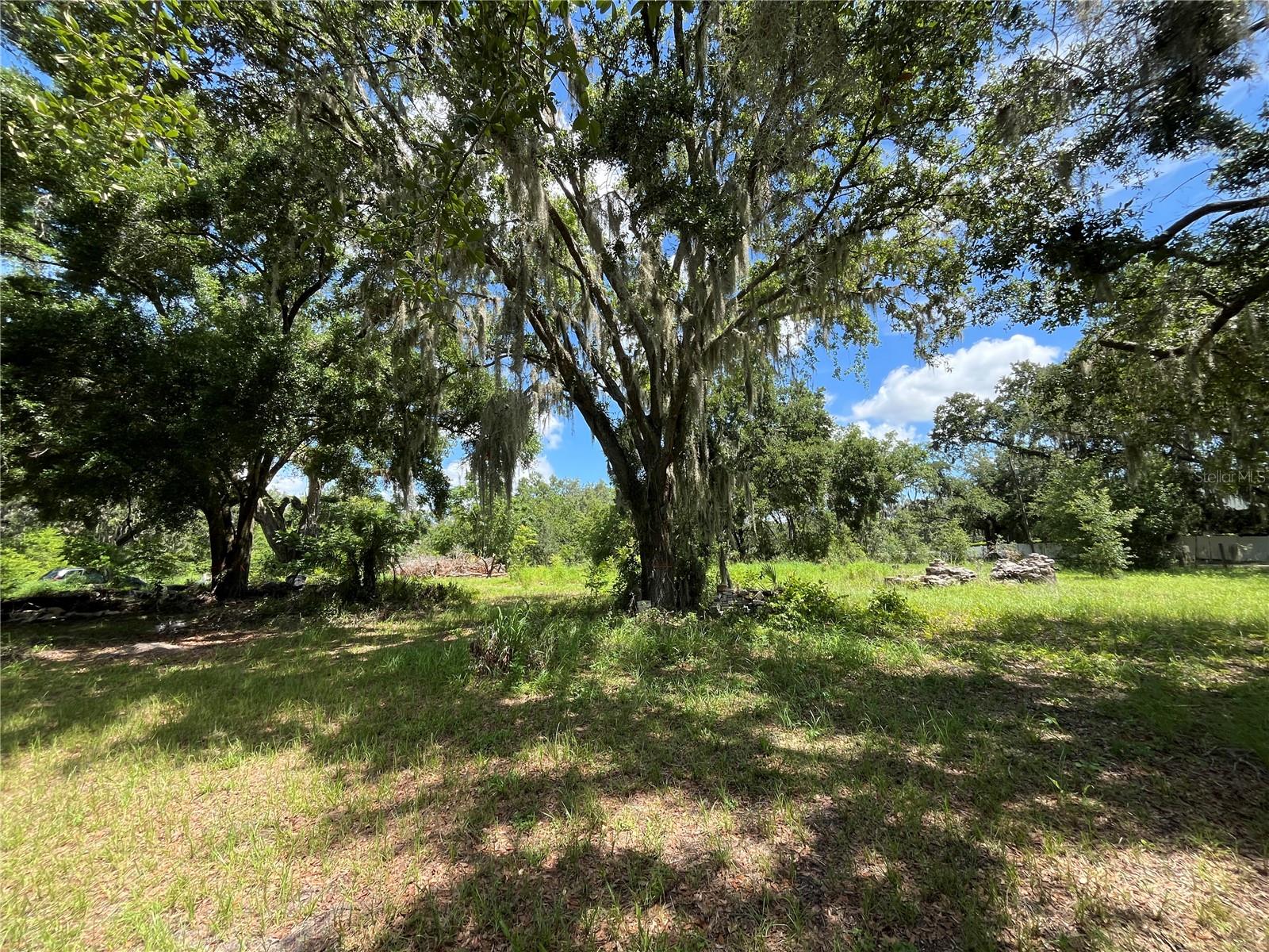 Image 15 of 43 For 411 Alibrandi Road