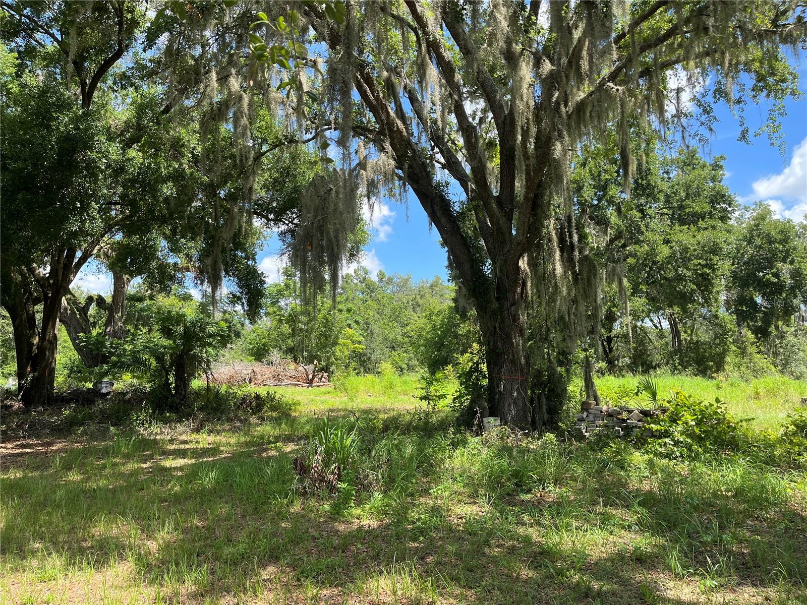 Image 16 of 43 For 411 Alibrandi Road