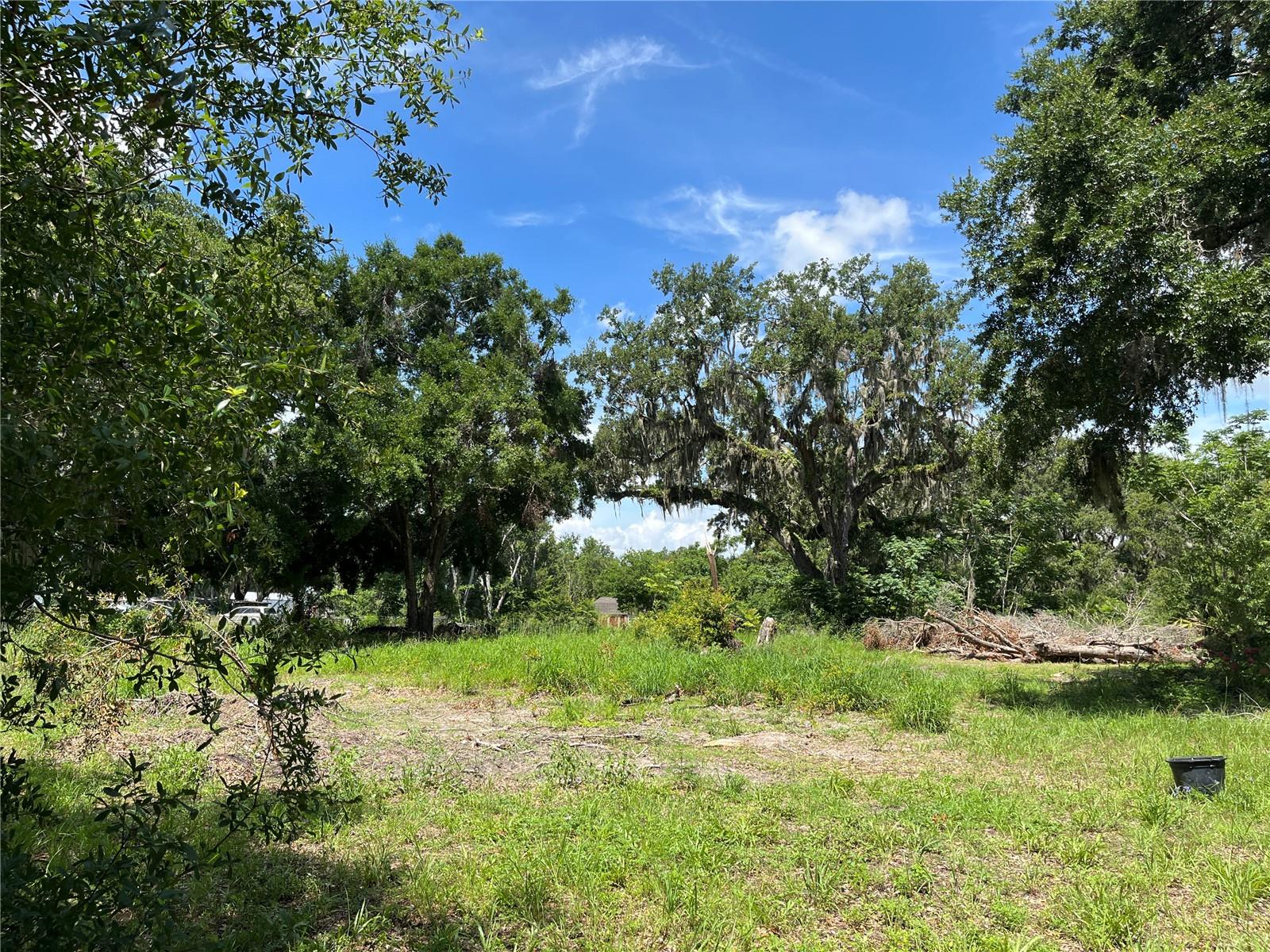 Image 19 of 43 For 411 Alibrandi Road