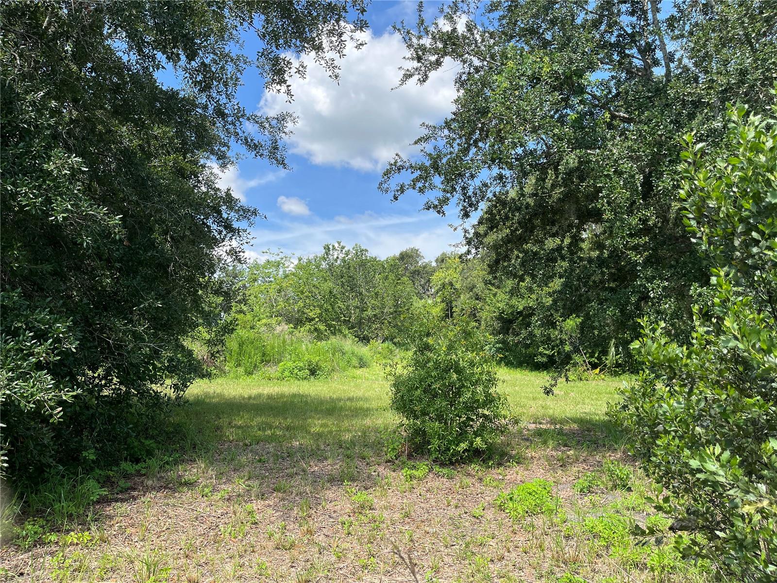 Image 21 of 43 For 411 Alibrandi Road
