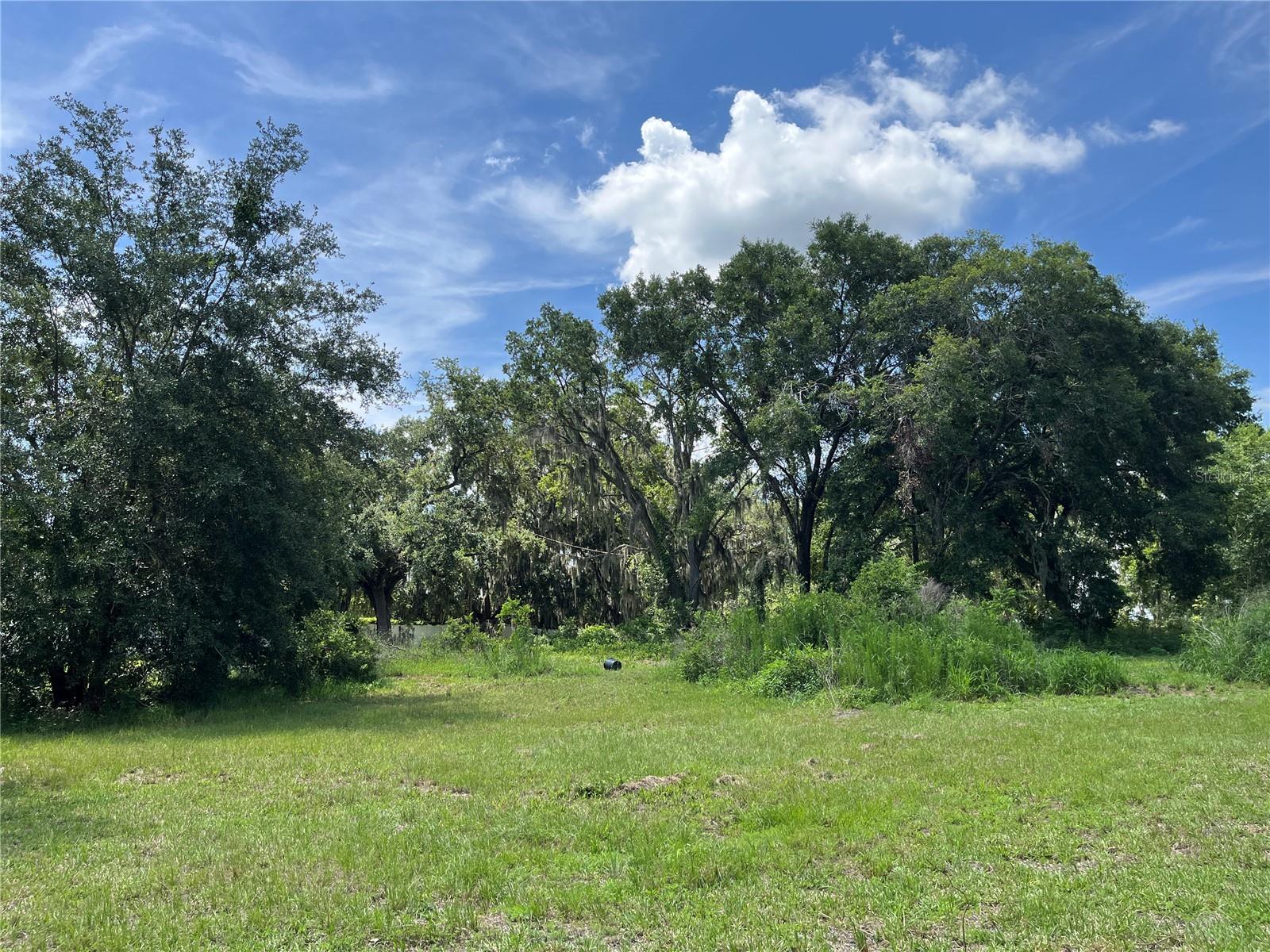 Image 23 of 43 For 411 Alibrandi Road