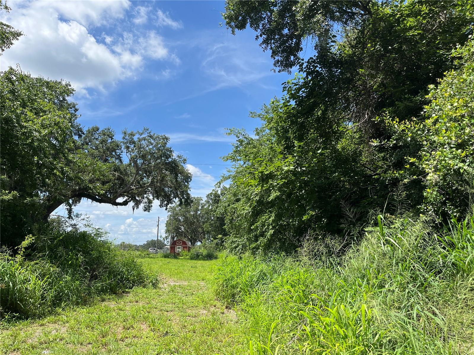 Image 25 of 43 For 411 Alibrandi Road
