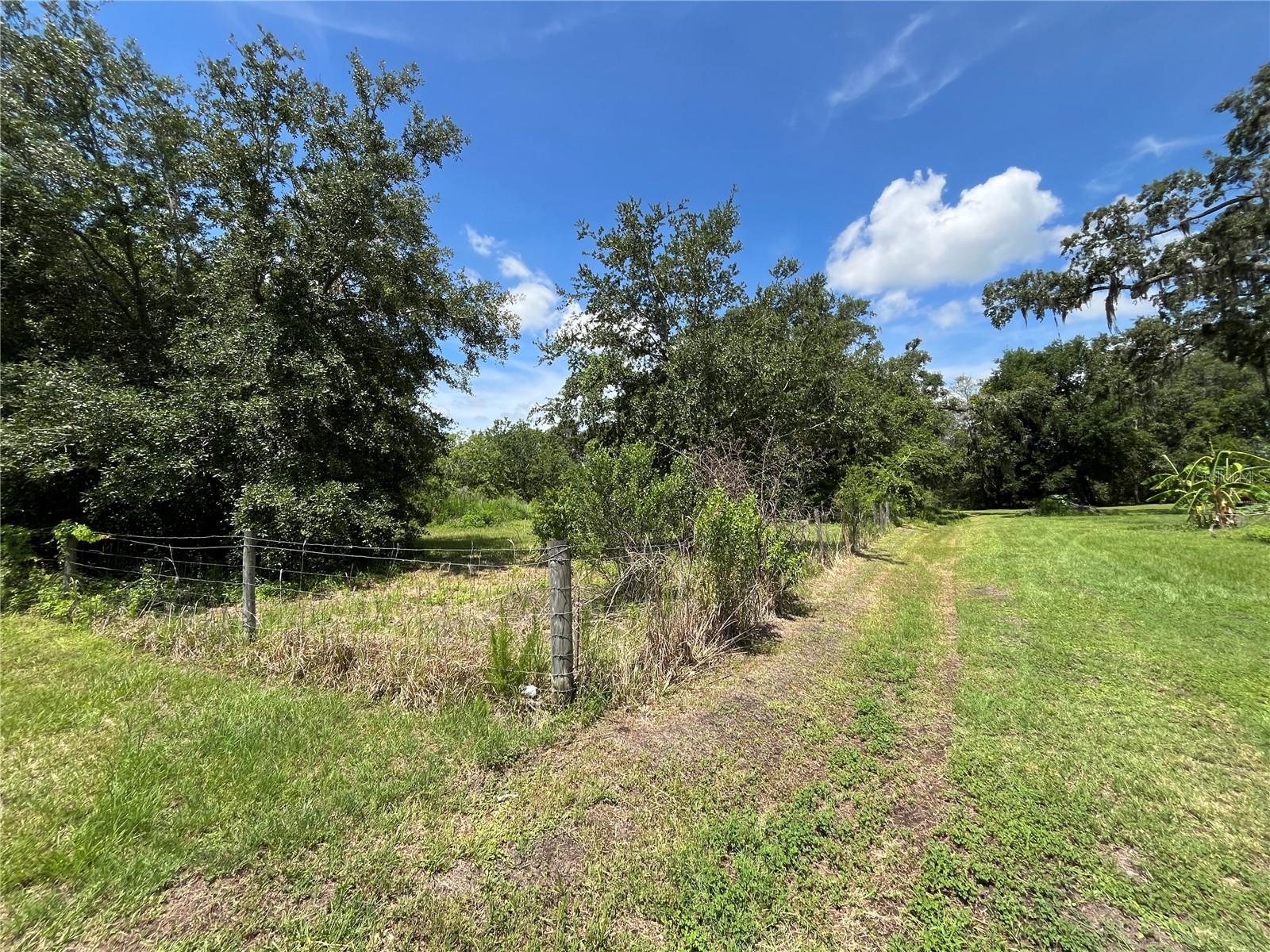 Image 29 of 43 For 411 Alibrandi Road