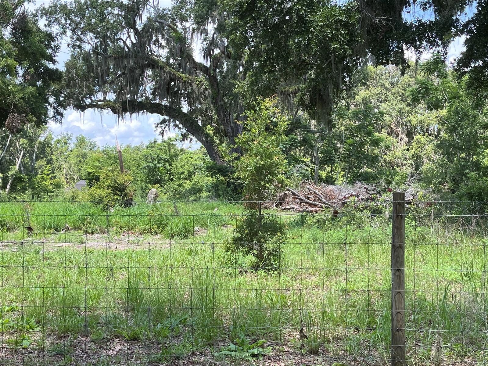 Image 31 of 43 For 411 Alibrandi Road
