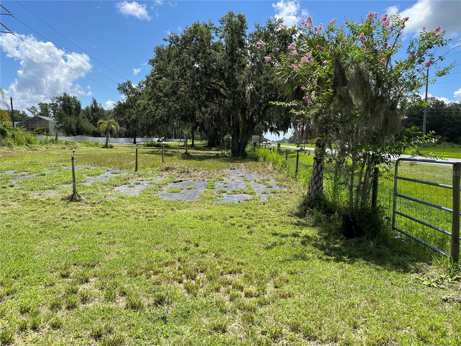 Image 33 of 43 For 411 Alibrandi Road