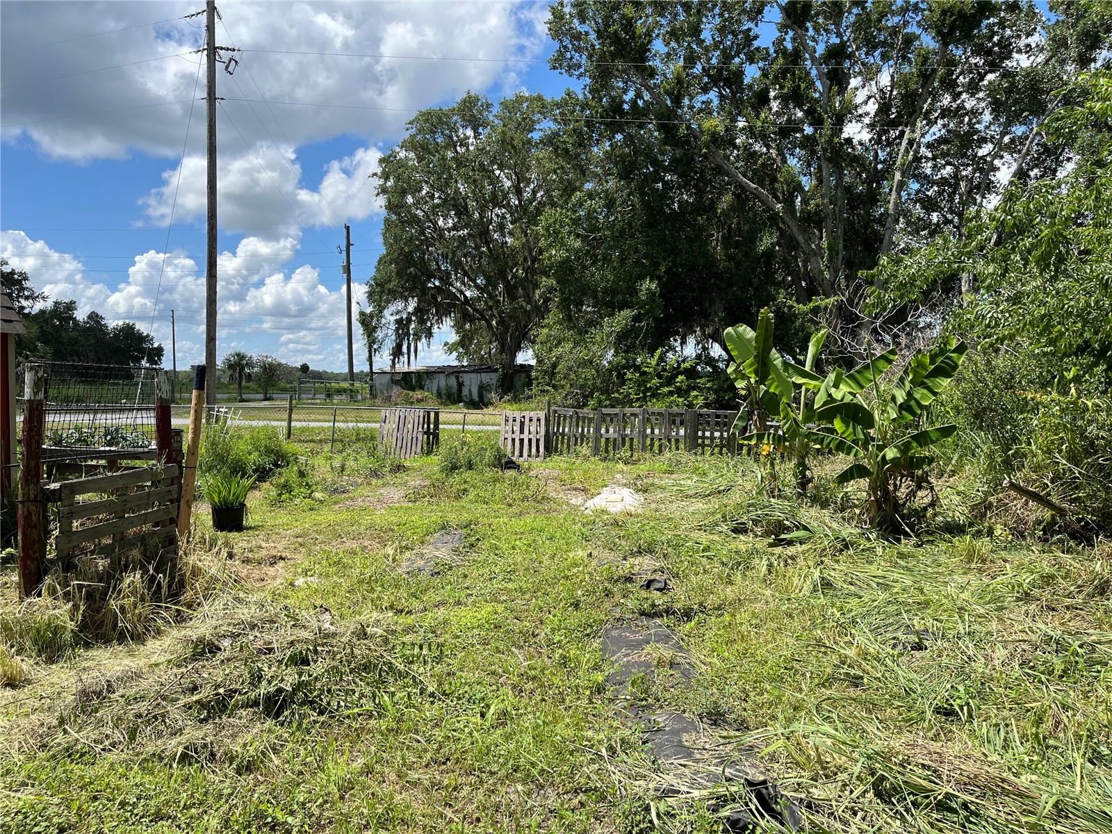Image 37 of 43 For 411 Alibrandi Road