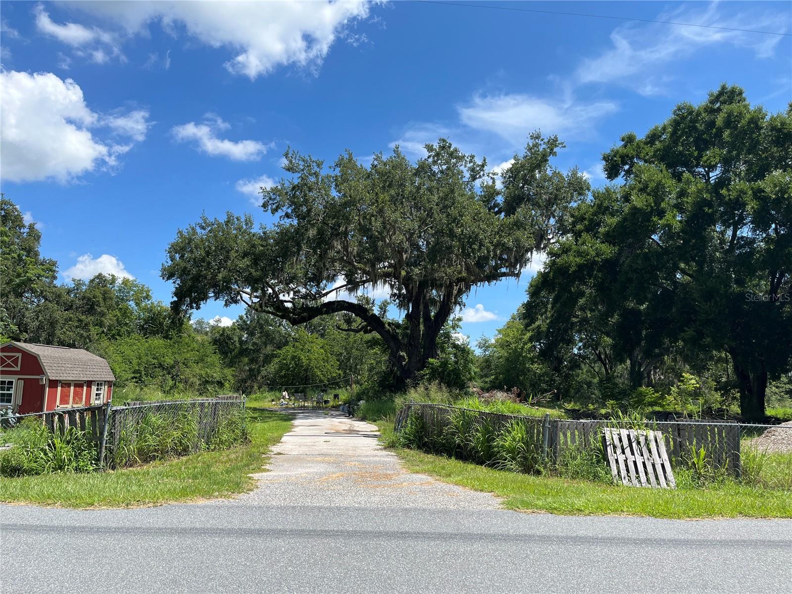 Image 8 of 43 For 411 Alibrandi Road