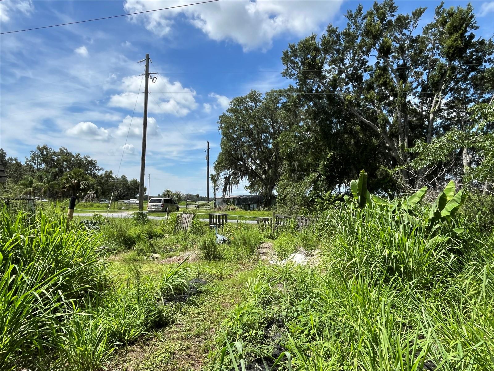 Image 9 of 43 For 411 Alibrandi Road