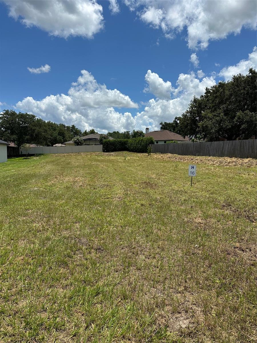Details for 16000 Matanilla Drive, CLERMONT, FL 34711