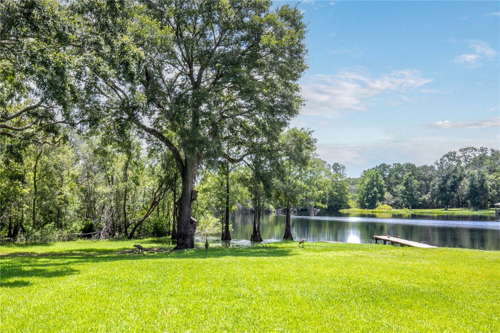 Details for 132 Pond Road, MOUNT DORA, FL 32757