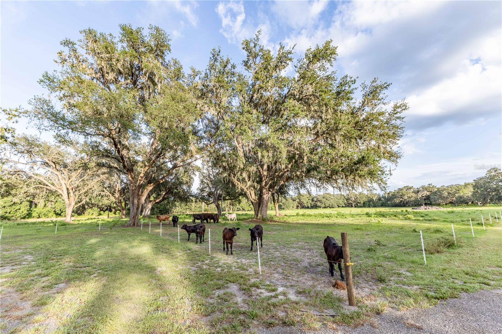 Image 9 of 84 For 12523 Cr 721