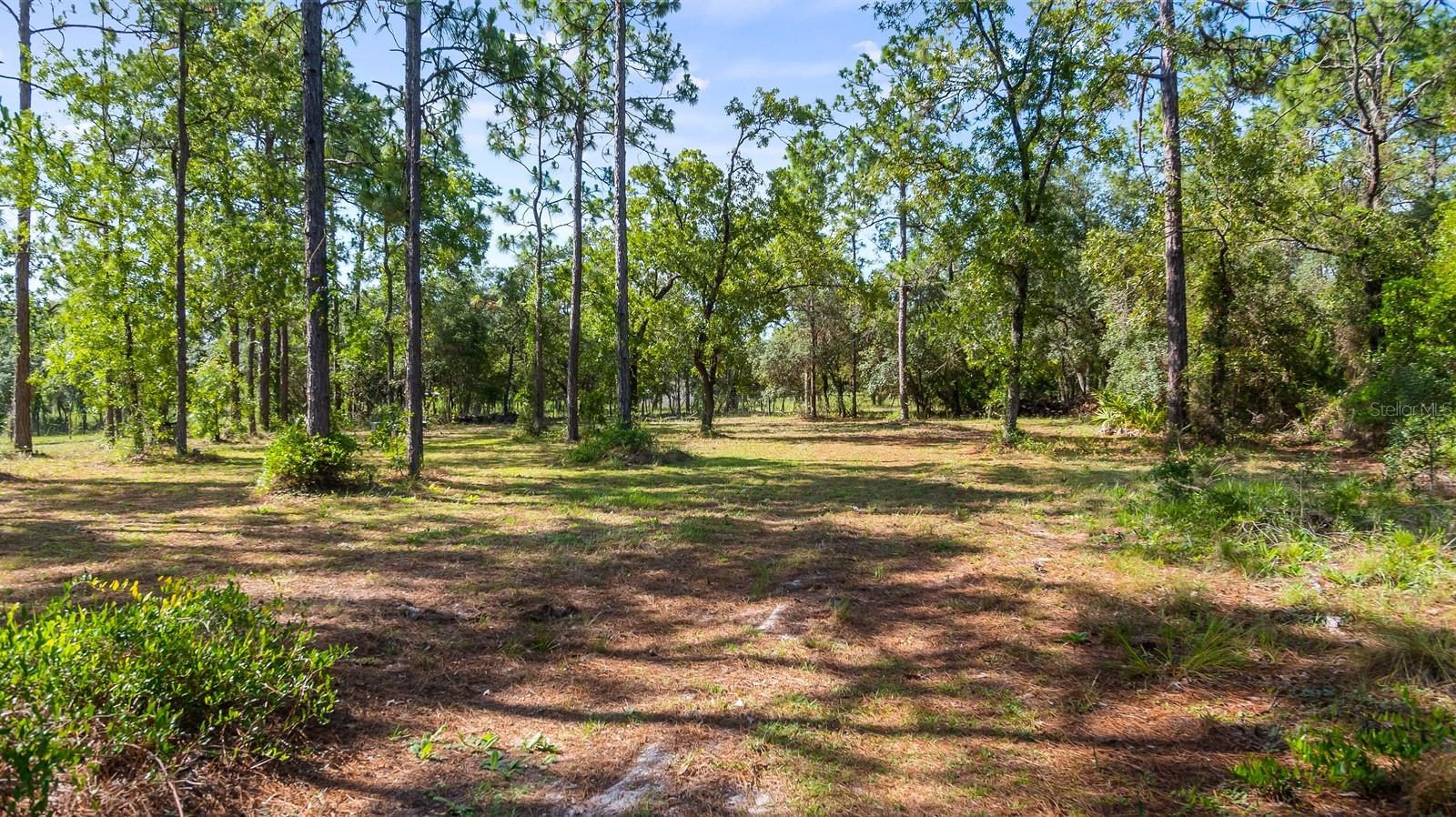 Listing photo id 45 for 6486 Oaklawn Street