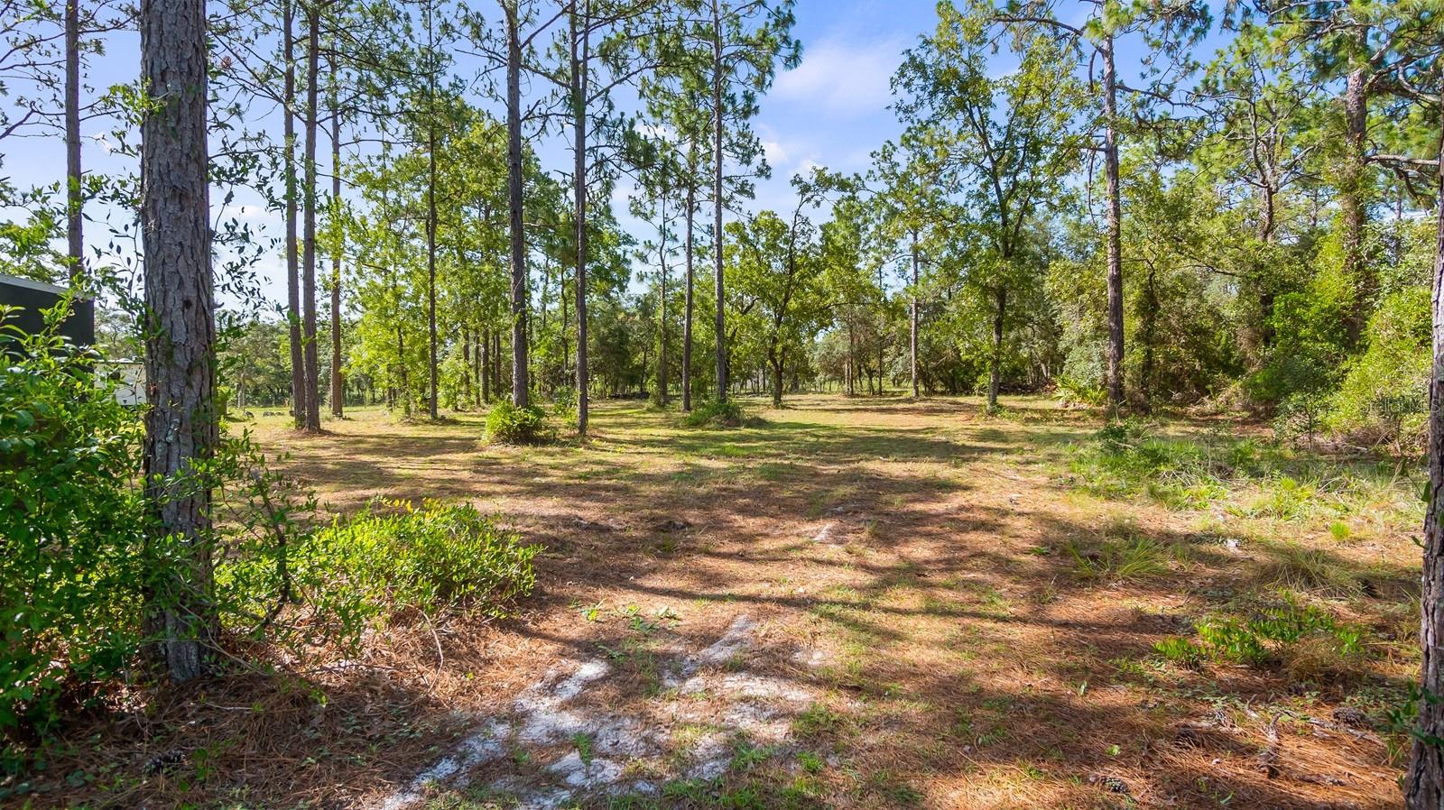 Listing photo id 46 for 6486 Oaklawn Street