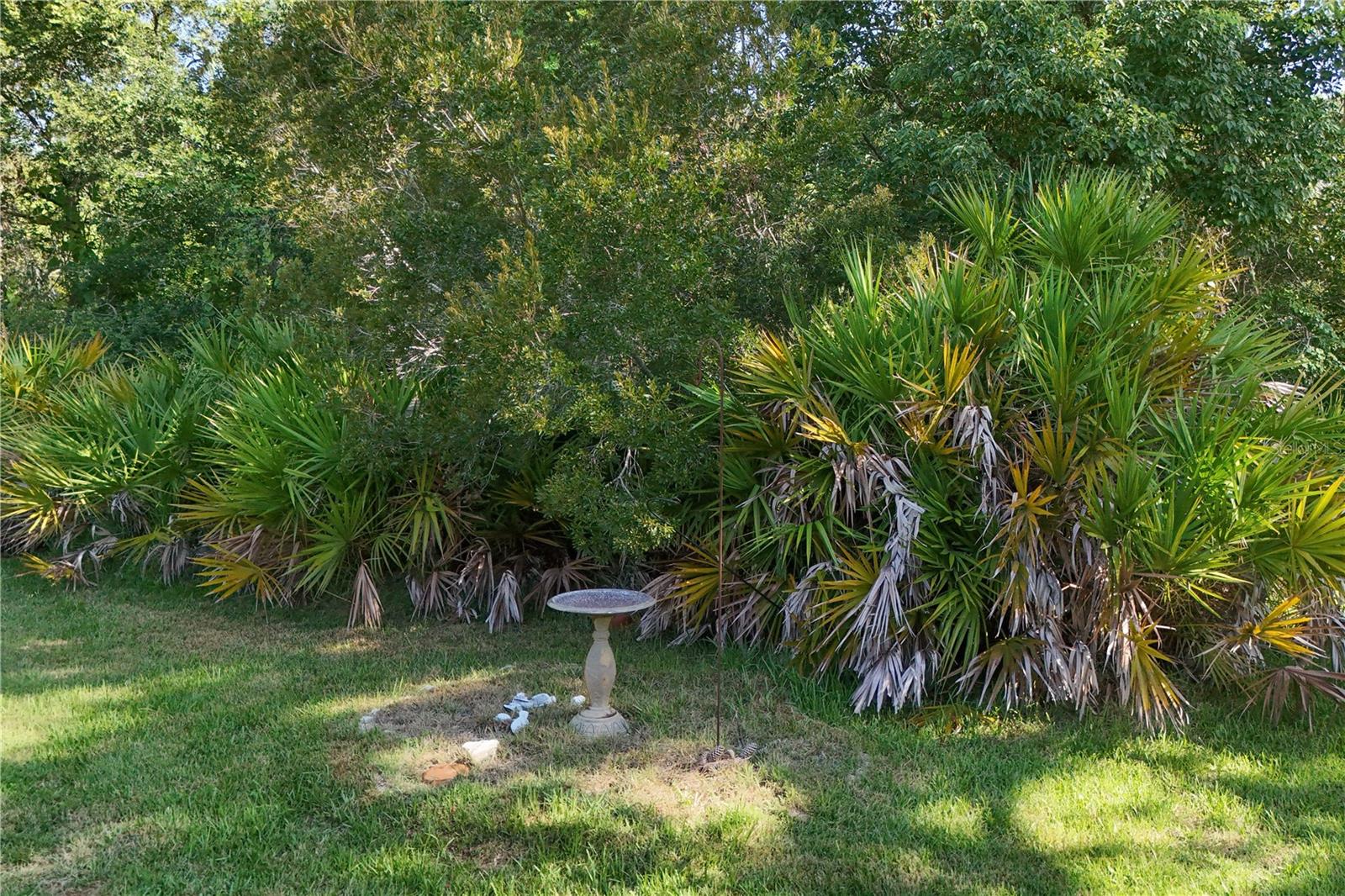 Image 31 of 51 For 1855 Stacey Drive