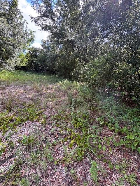 Image 4 of 8 For Fletcher Road