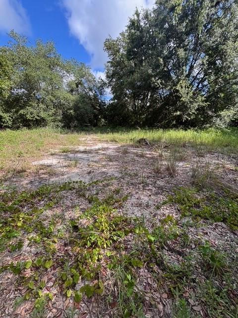Image 5 of 8 For Fletcher Road
