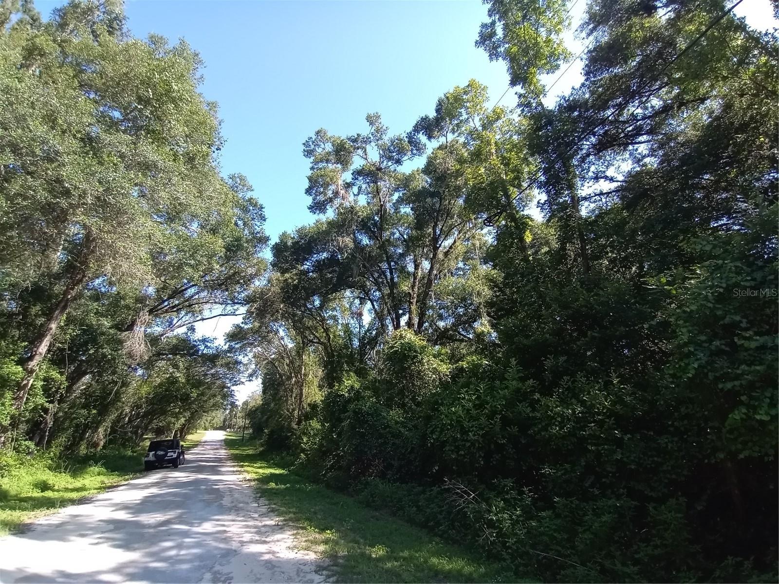 Details for 7092 Elaine Drive, WEBSTER, FL 33597