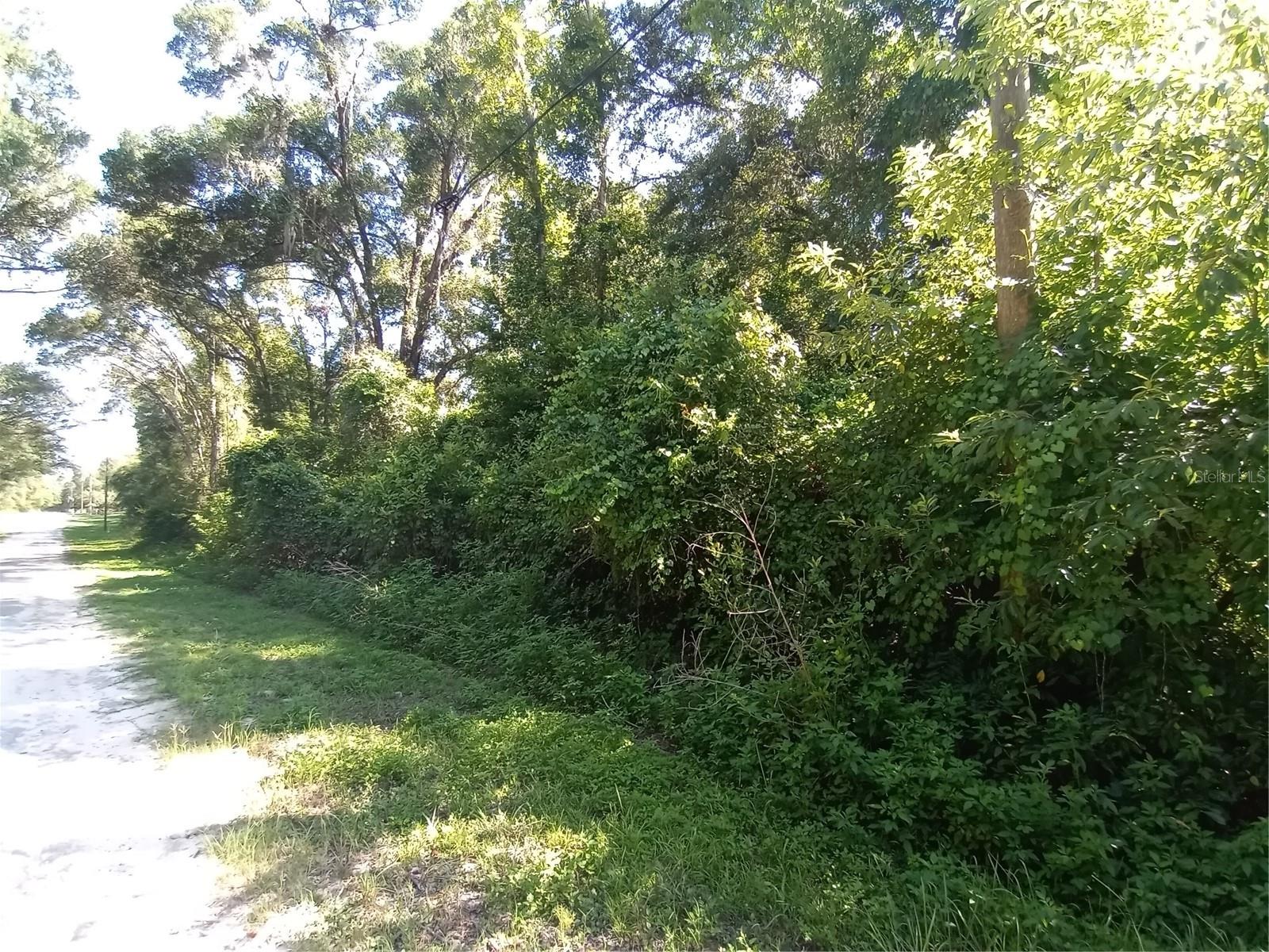 Image 6 of 11 For 7092 Elaine Drive