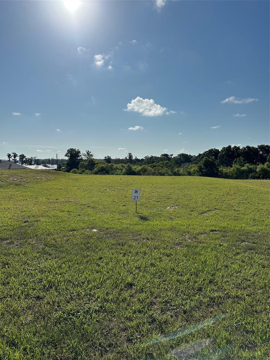 Details for 11628 Matanilla Drive, CLERMONT, FL 34711