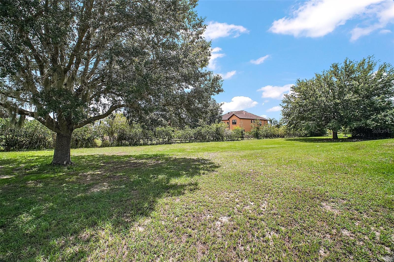 Image 46 of 52 For 36914 Bee Meadow Court