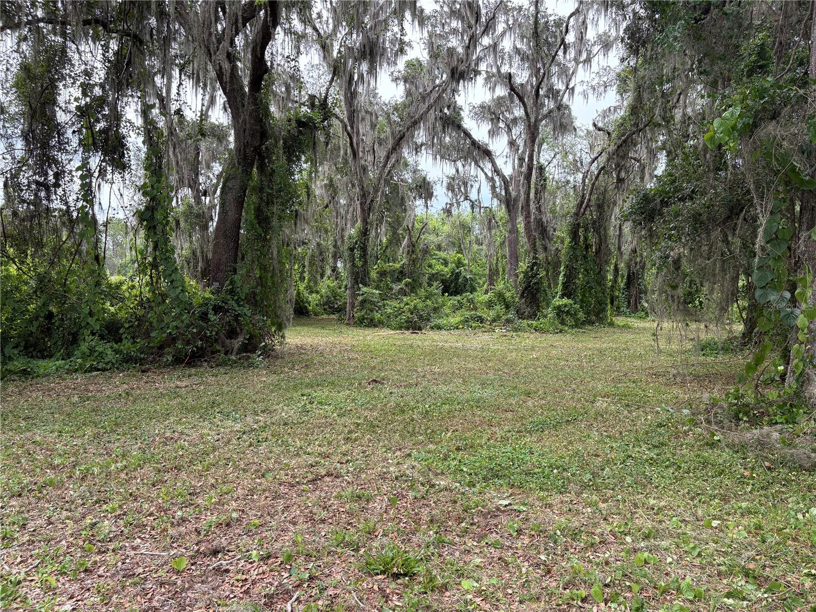 Image 2 of 8 For Address Not Provided