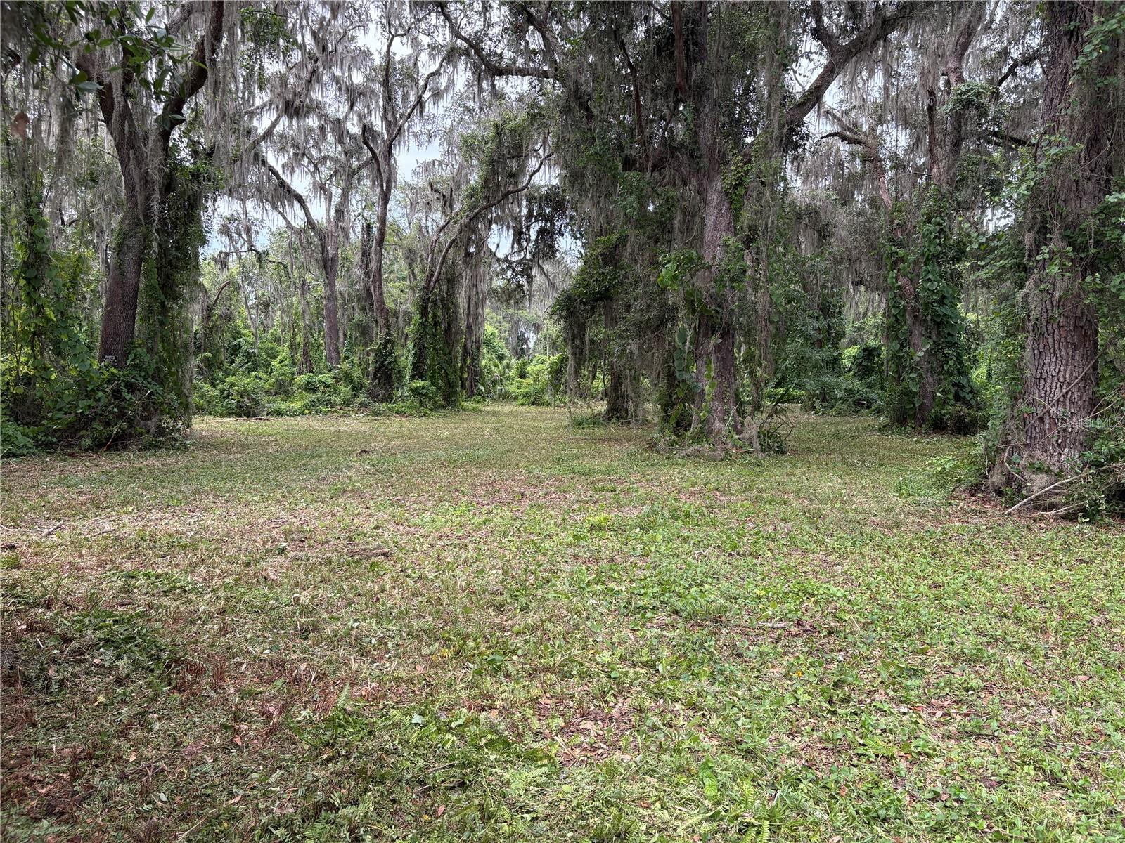 Image 3 of 8 For Address Not Provided