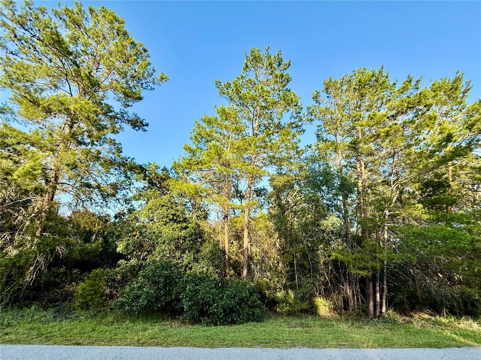 Details for Lot 6 Aspen Street, EUSTIS, FL 32736