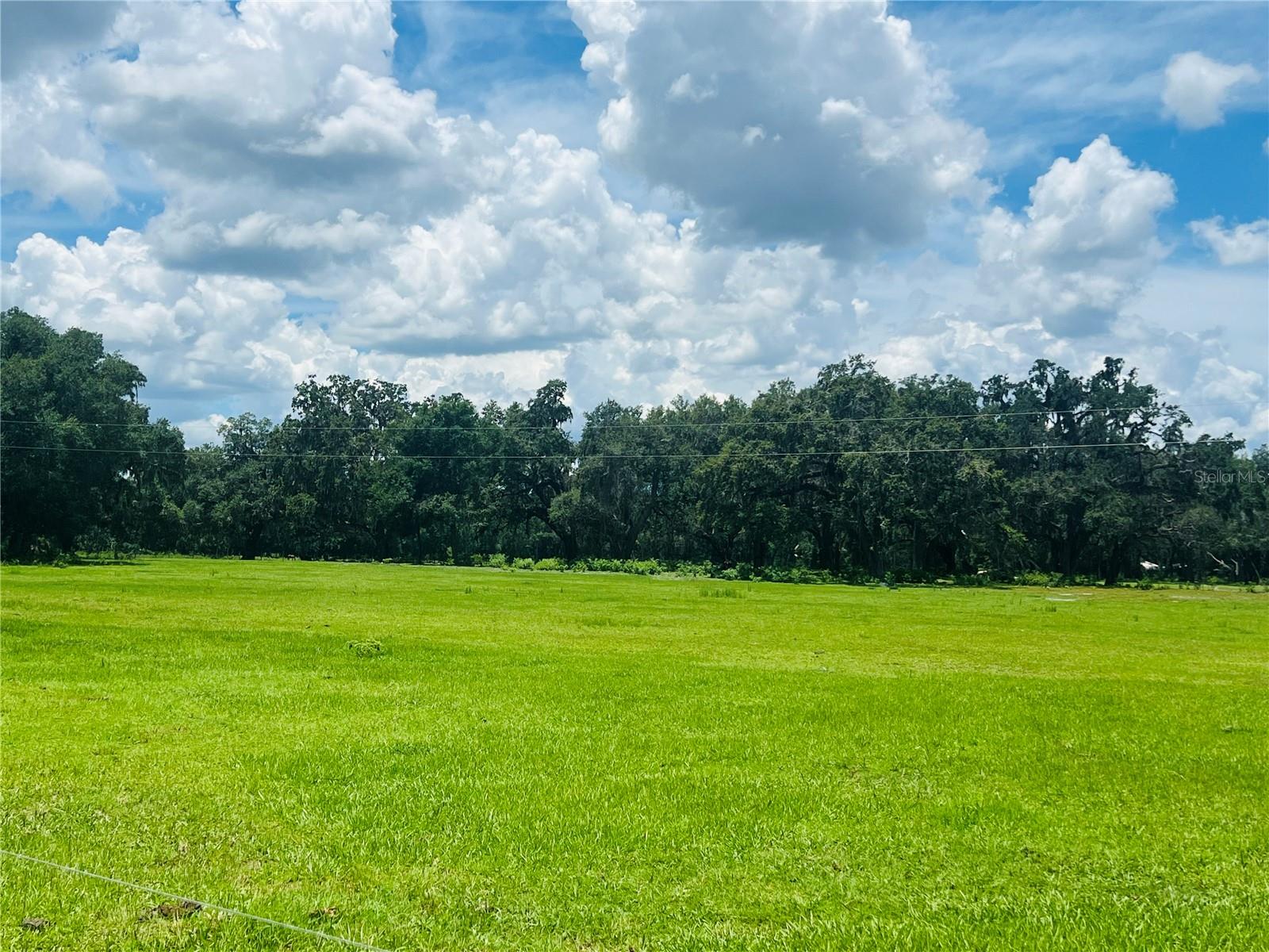 Details for 0 546a  , BUSHNELL, FL 33513