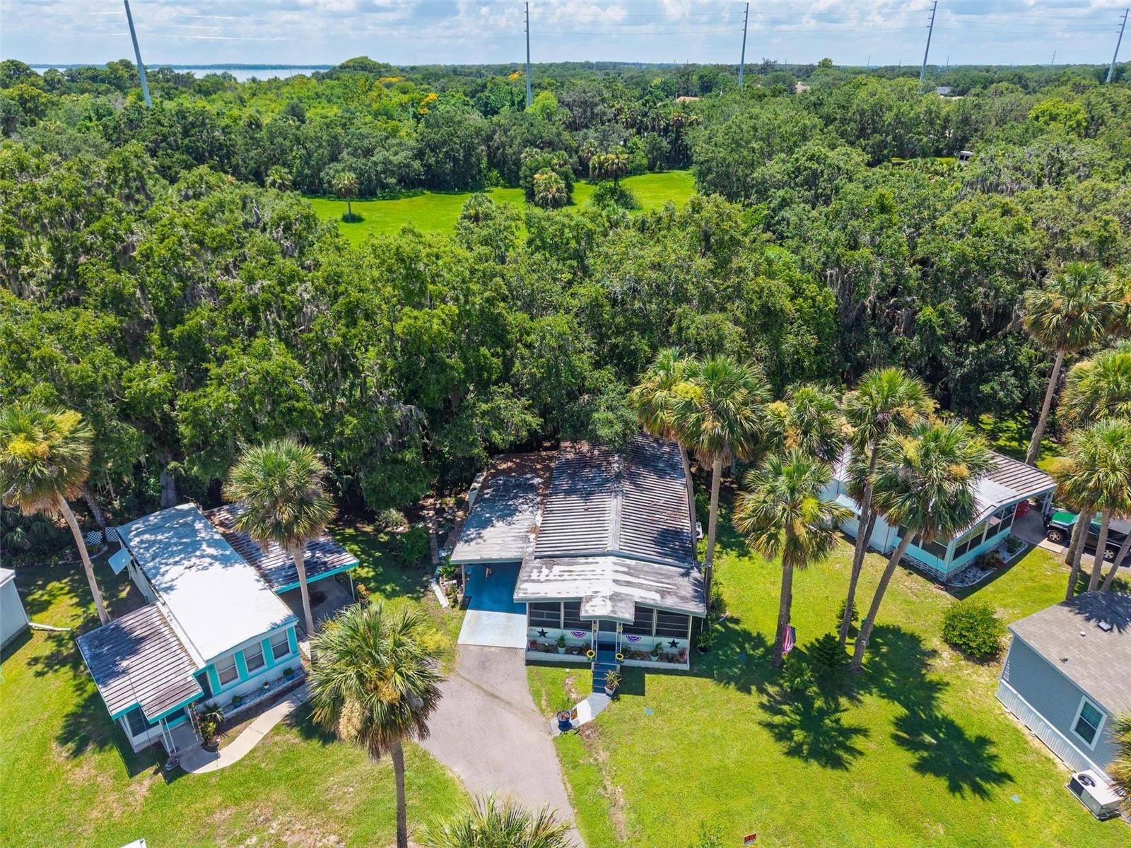 Image 2 of 53 For 10 Cocos Plumosa Drive