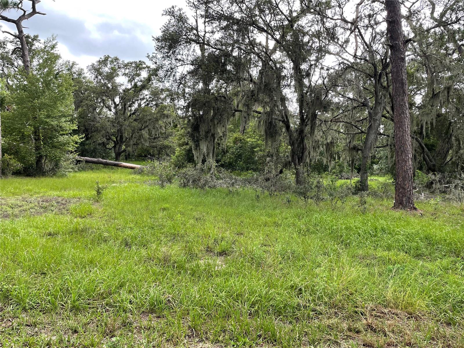 Image 2 of 3 For 1451 Marker Road