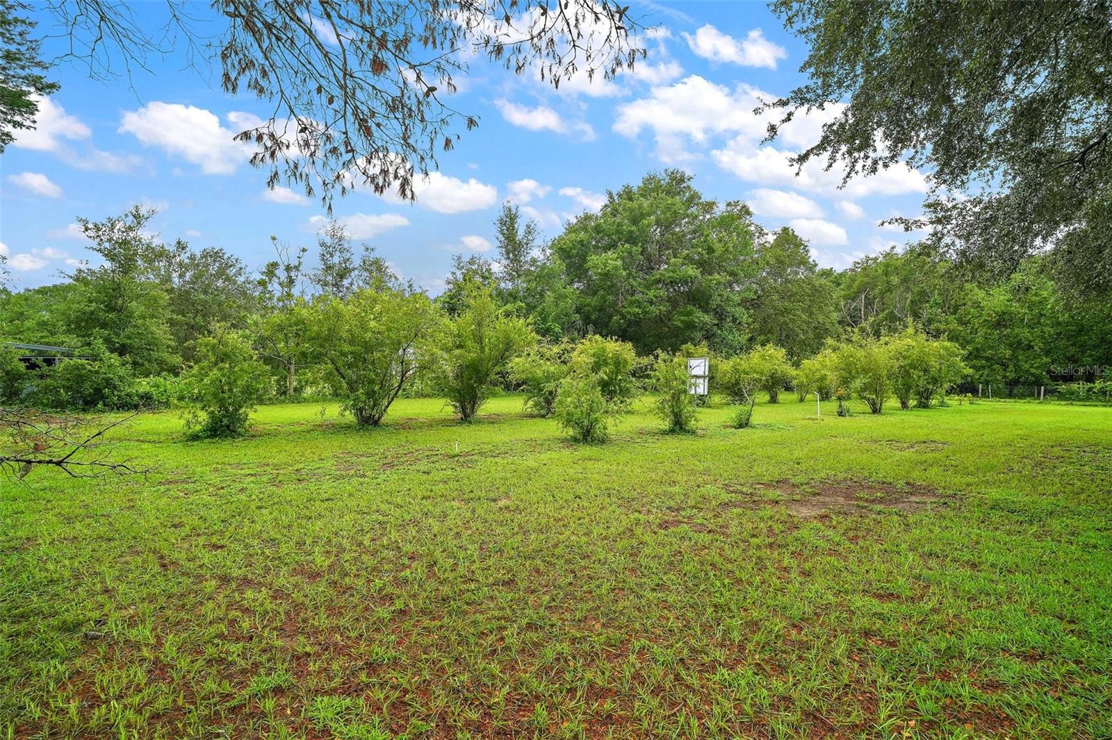 Image 47 of 51 For 3026 Lake Griffin Road