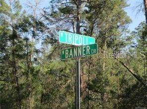 Listing Details for 6606 Tripoli Terrace, DUNNELLON, FL 34433