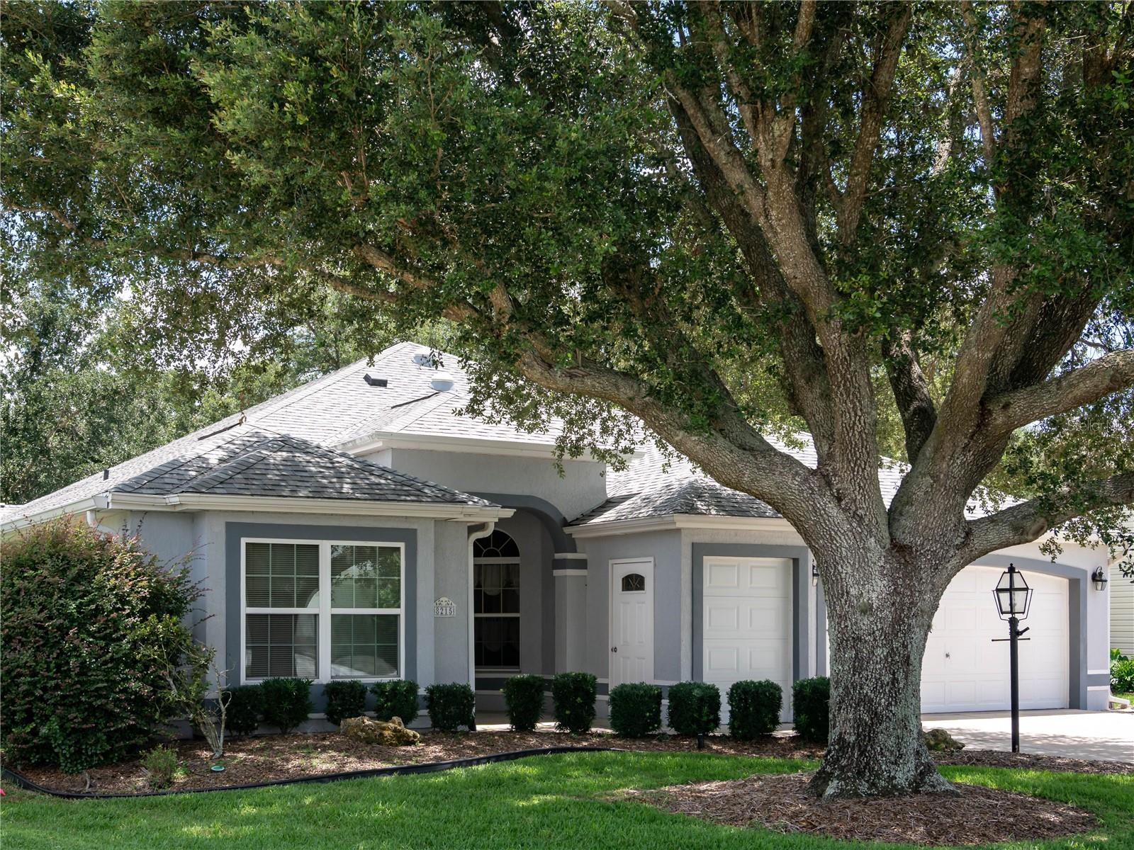 Details for 8215 171st Mcalpin Street, THE VILLAGES, FL 32162
